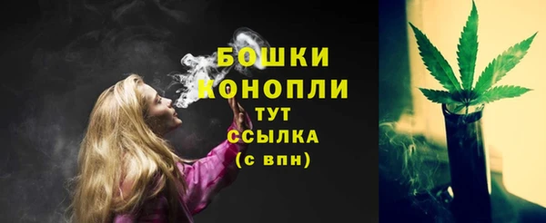дурь Бронницы