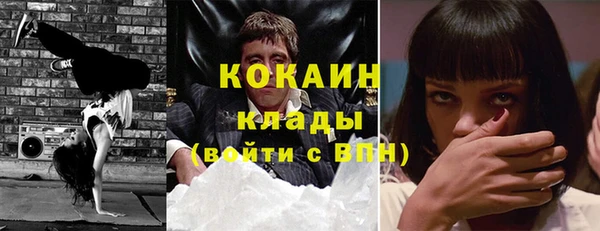дурь Бронницы