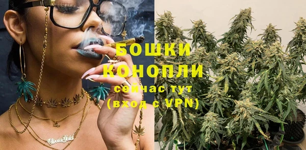 прущая мука Бородино
