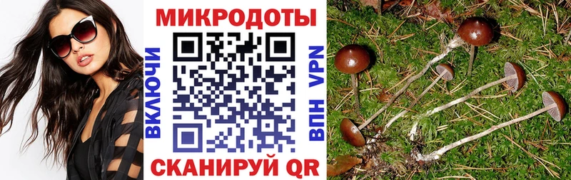 Купить закладки Долинск Псилоцибиновые грибы Cubensis